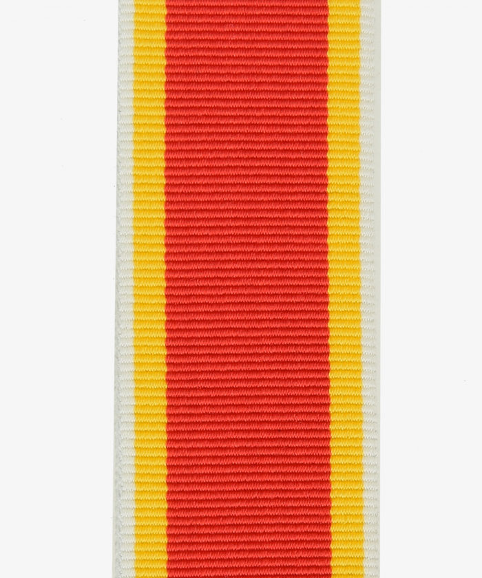 Baden, Friedrich-Luisen Erinnerungsmedaille (301)